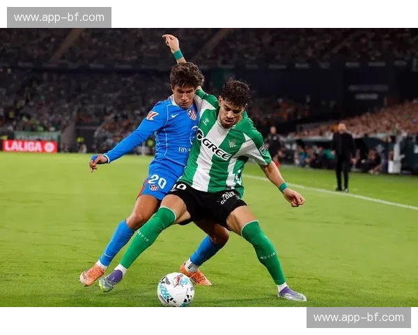 追风西甲：感受LaLiga的热情与荣耀